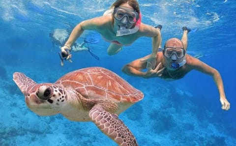 Orange Bay VIP Full-Day Cruise with Snorkeling and Lunch