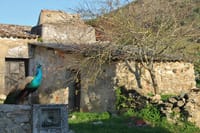 Cheleiros Village 