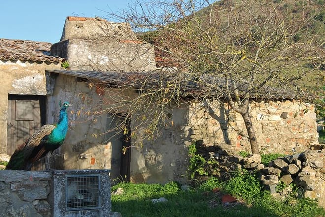 Cheleiros Village 
