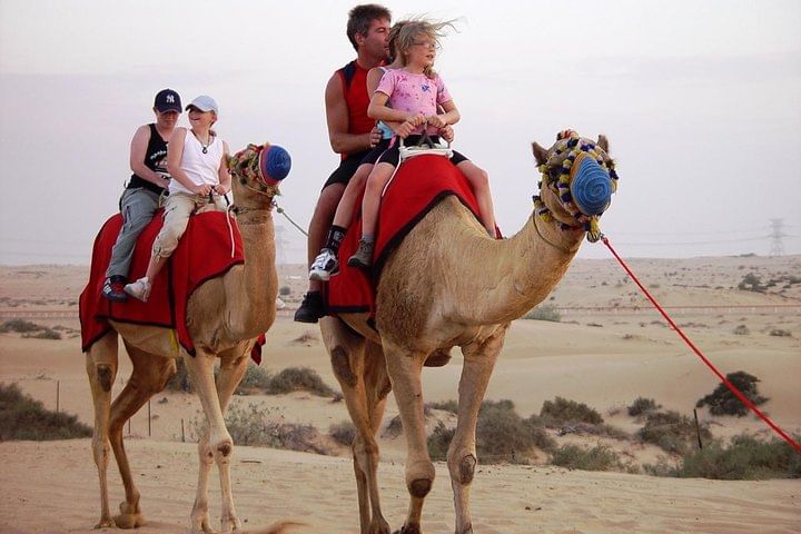 Morning Dubai Desert Safari with Camel Ride & Sand boarding