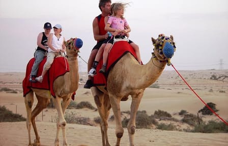 Morning Dubai Desert Safari with Camel Ride & Sand boarding