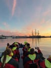 Premium Whales & Midnight Sun 4