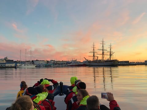 Premium Whales & Midnight Sun, photo 4