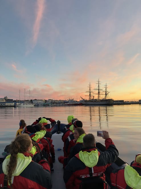 Premium Whales & Midnight Sun 4