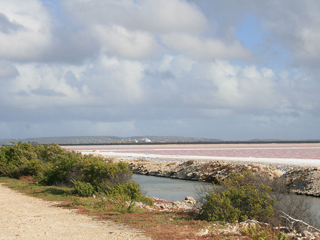 South Tour with Local Guide