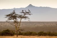5 Day Hiking Adventure Mt Kenya Via Sirimon Route 1