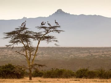 5-Day Hiking Tour of Mt Kenya via Sirimon Route from Nairobi