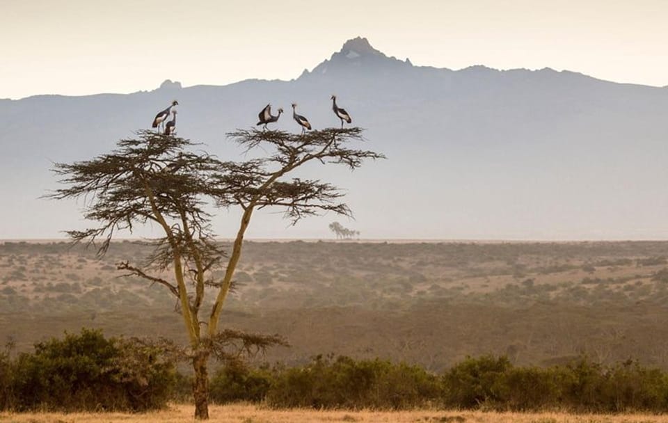 5-Day Hiking Tour of Mt Kenya via Sirimon Route from Nairobi