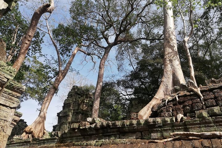 Angkor Wat Bayon and Ta Prohm with a short walk to ancient city