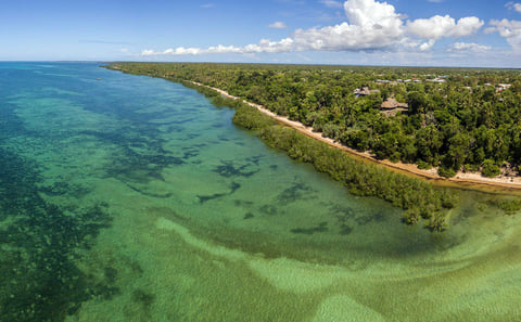 Chole Island Tour with Sandbank Lunch, Mafia Island