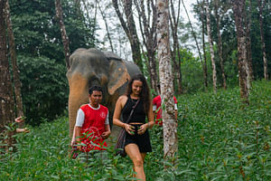 Khao Lak: 2-Hours Elephant Sanctuary Eco-Walk with Guided