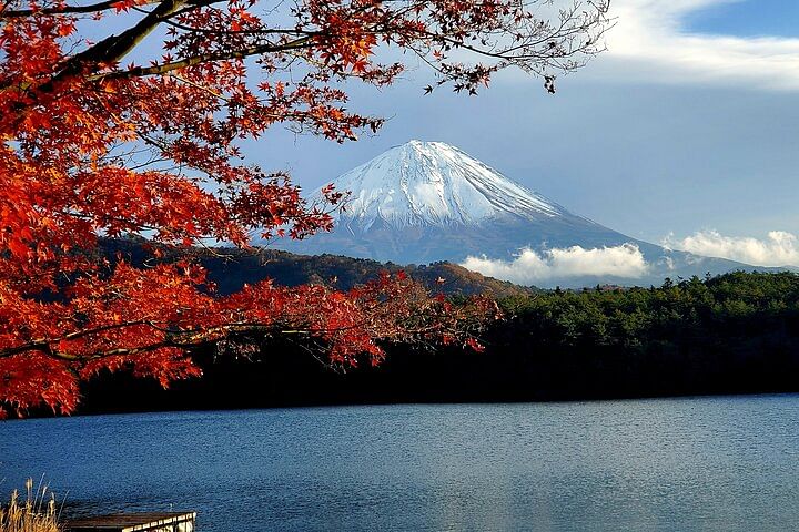 Full Day Private Guided Tour Mt. Fuji and Hakone