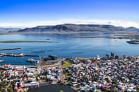 Reykjavík Whales & Helicopter Tour 8
