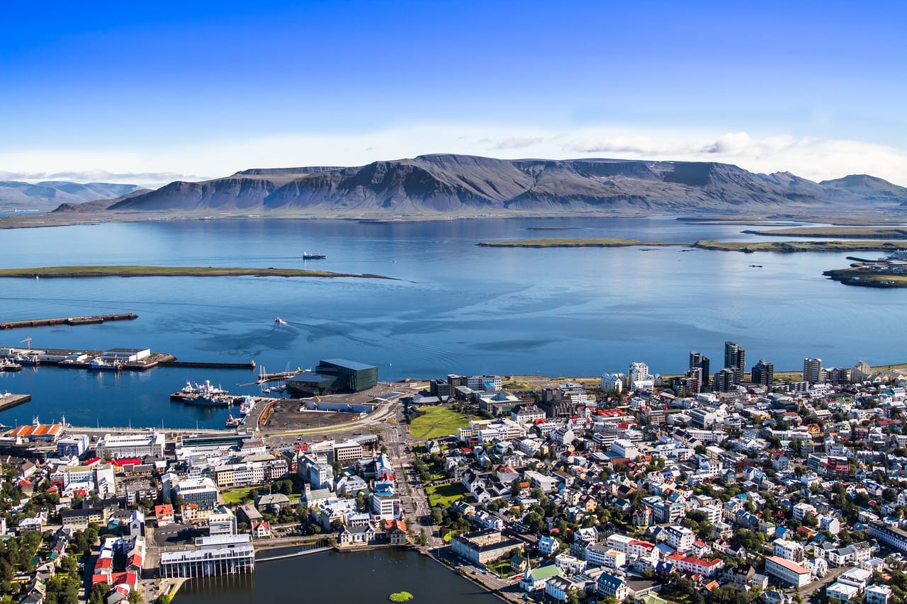Reykjavík Whales & Helicopter Tour 8