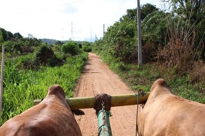 Pidurangala and Hiriwaduna Village Tour From Sigiriya