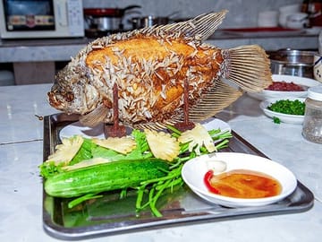 Elephant ear fish