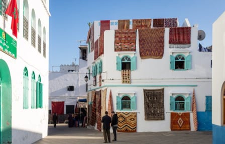 Day Trip Assilah – Private Guide & Driver