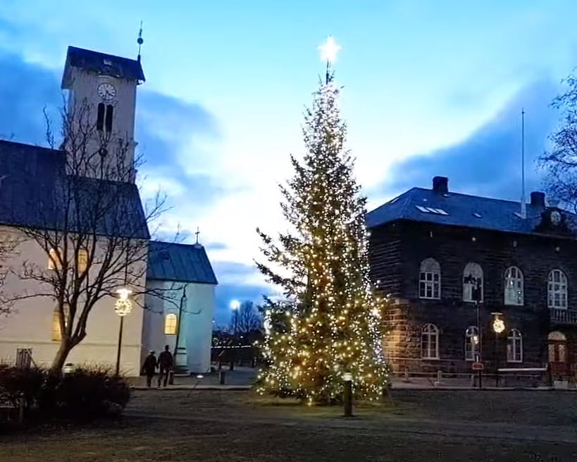 The Oslo Christmas Tree by Austurvollur