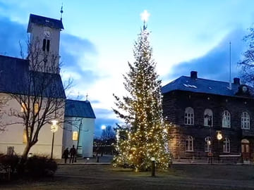The Oslo Christmas Tree by Austurvollur