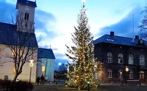 Reykjavík New Year's Eve Walking Tour with Local Traditions