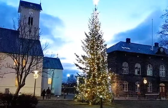 Icelandic New Year’s Eve Walking Tour