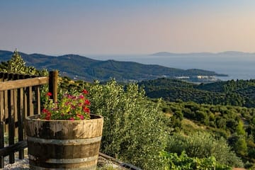 Halkidiki Experience: Private Tour to Sithonia from Thessaloniki