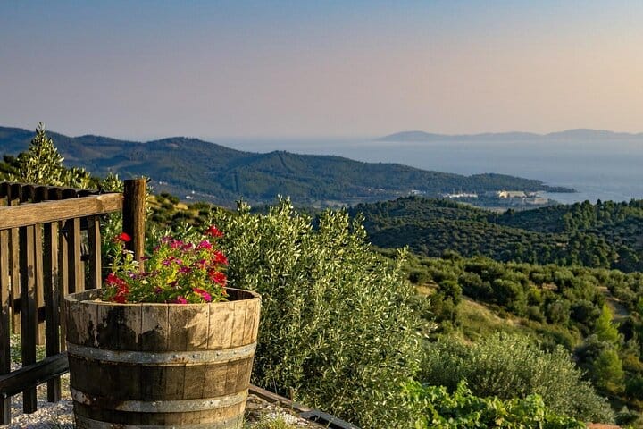 Domaine Porto Karras Winery