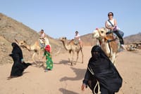 Hurghada Desert Quad Bike Safari i with Traditional Bedouin Dinner and Show 9