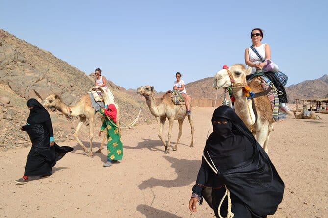 Hurghada Desert Quad Bike Safari i with Traditional Bedouin Dinner and Show 9