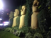 Chilean Folklore Show and Dinner with Private Transport 9