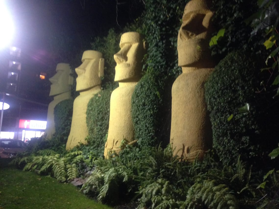 Chilean Folklore Show and Dinner with Private Transport 9