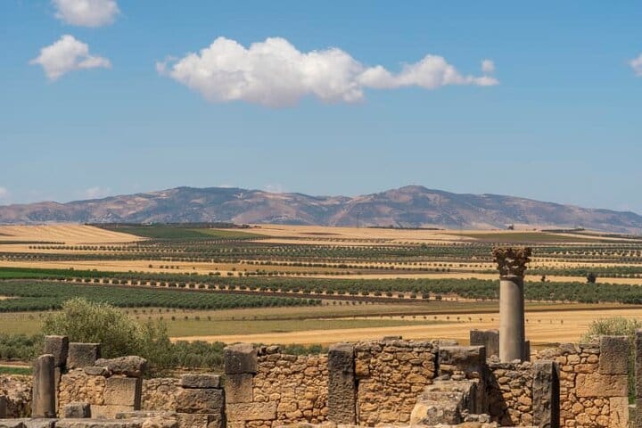 VIP Tangier Private Day Tour from Tarifa – Ferry & Camel Ride