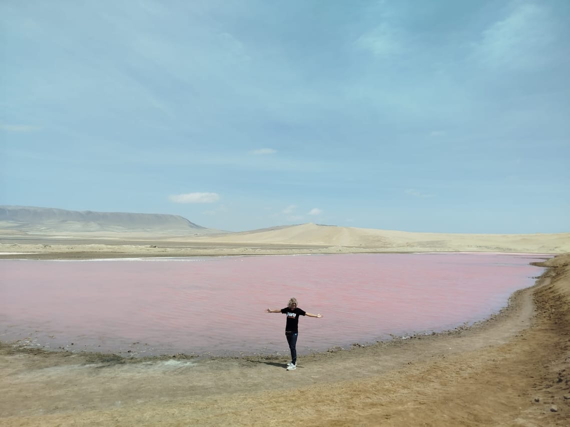 Paracas National Reserve Half Day Tour 8