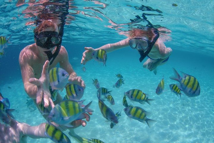 Private Luxury Sailing Cruise in Los Cabos with Lunch and Open Bar