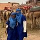 From Casablanca: 2 Days trip To Explore Agafay Desert & Marrakech