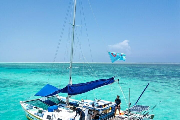 Clean and open-air catamaran offering panoramic ocean views and easy access to the water.