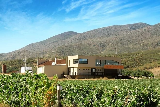 Valle de Guadalupe Private Wine Tour