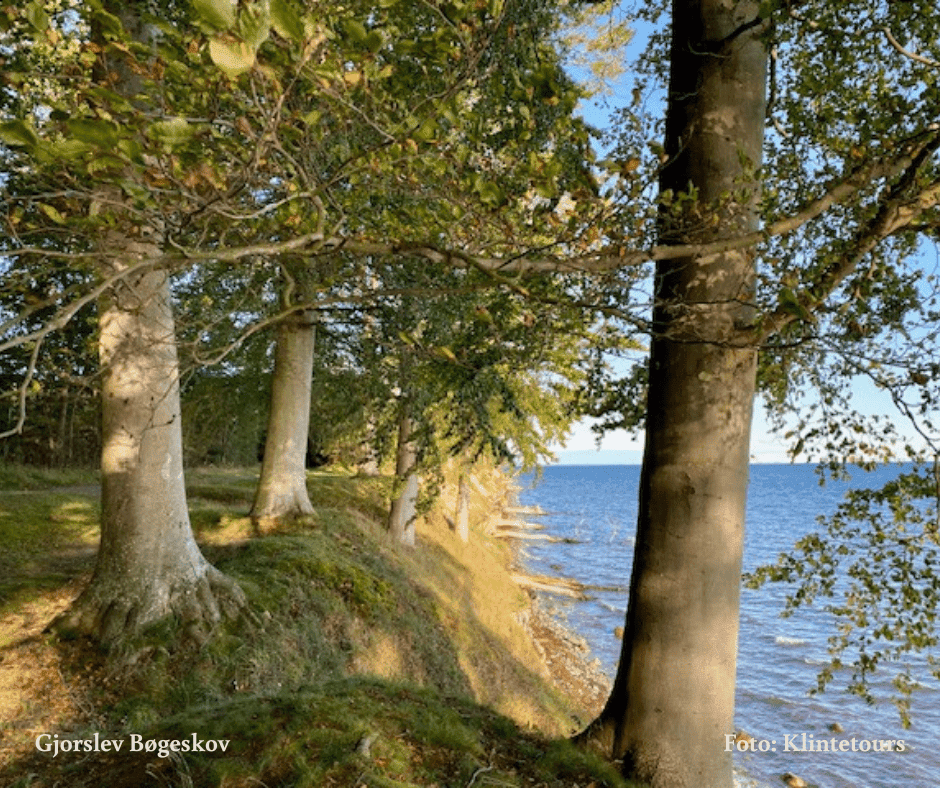 Denmark Nature — Custom Route (Private Experience) 10