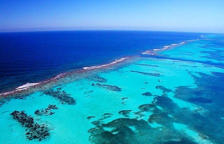 North Side Blue Channel Snorkeling and Jet Ski Tour in Roatán