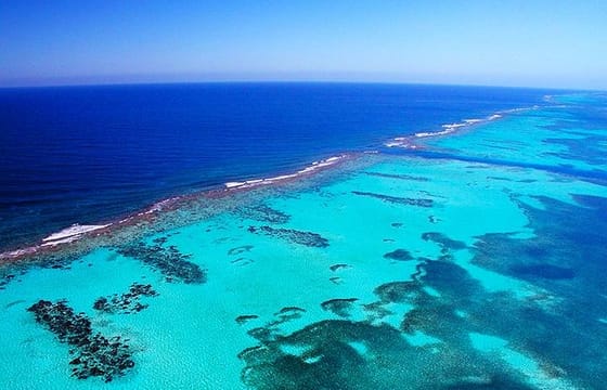 North Side Blue Channel & Starfish Snorkeling, 30min JetSki, Shuttle Included