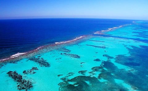 North Side Blue Channel Snorkeling and Jet Ski Tour in Roatán