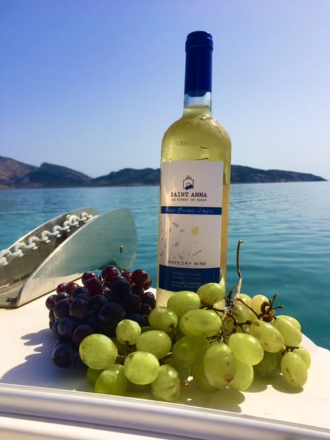 Naxos Winery Vineyard Tour With Wine Tasting Small Buffet At Agia Anna Manolis Estate Zas 