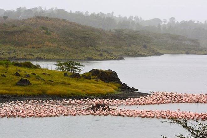 Arusha National Park Day tour  5