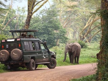 Serengeti game park