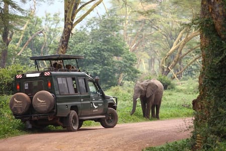 8day Best of Tanzania Wildlife Lodge Safari
