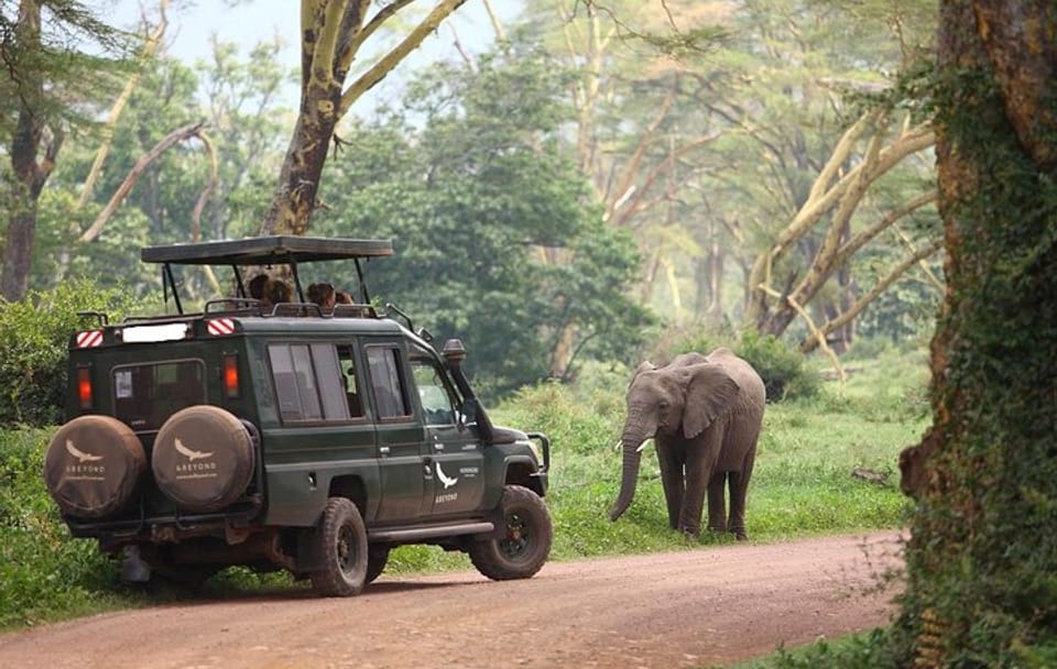 8day Best of Tanzania Wildlife Lodge Safari