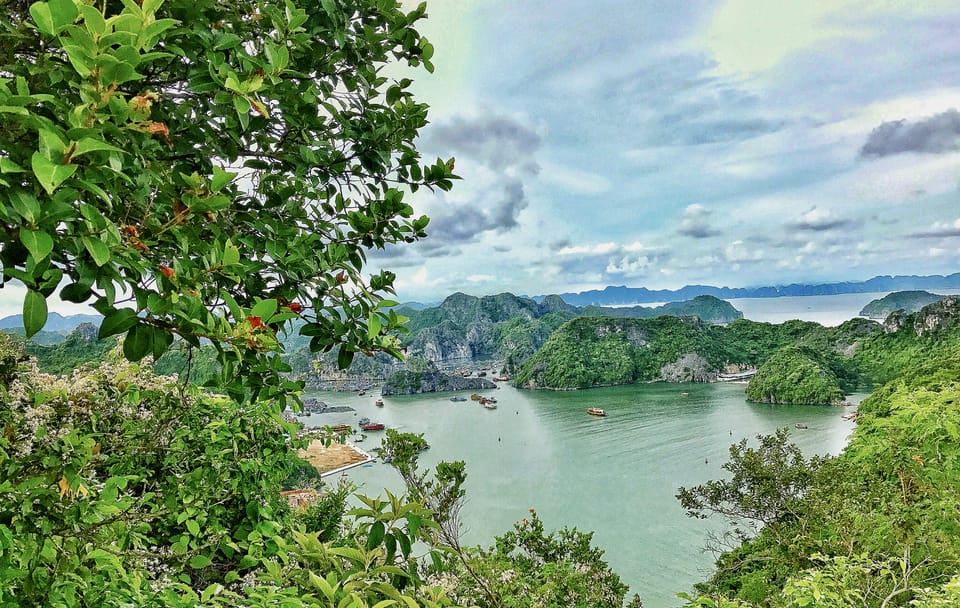 Trekking and Kayaking Adventure in Cat Ba National Park