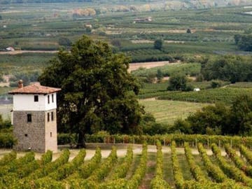 Kir-Yianni Winery