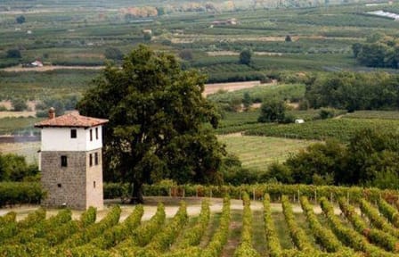 Private Day Trip from Thessaloniki to Vergina, Naousa, and Edessa