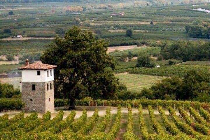 Kir-Yianni Winery